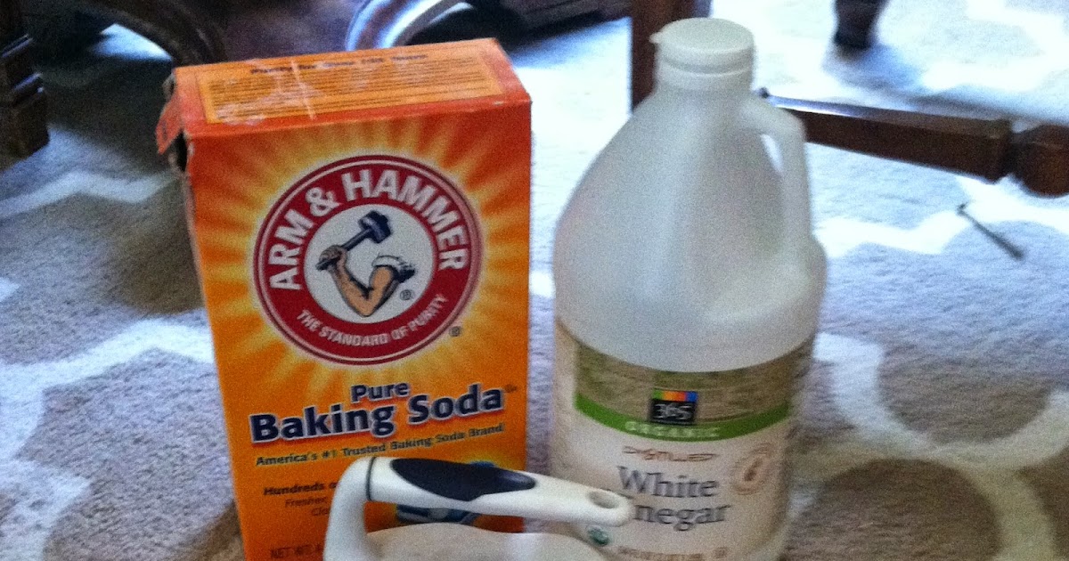 Musings and Ramblings of a Busy Mom All Natural Carpet Stain Remover