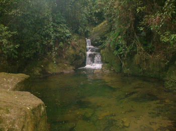 CONHEÇA AS BELEZAS NATURAIS DA MATA ATLÂNTICA