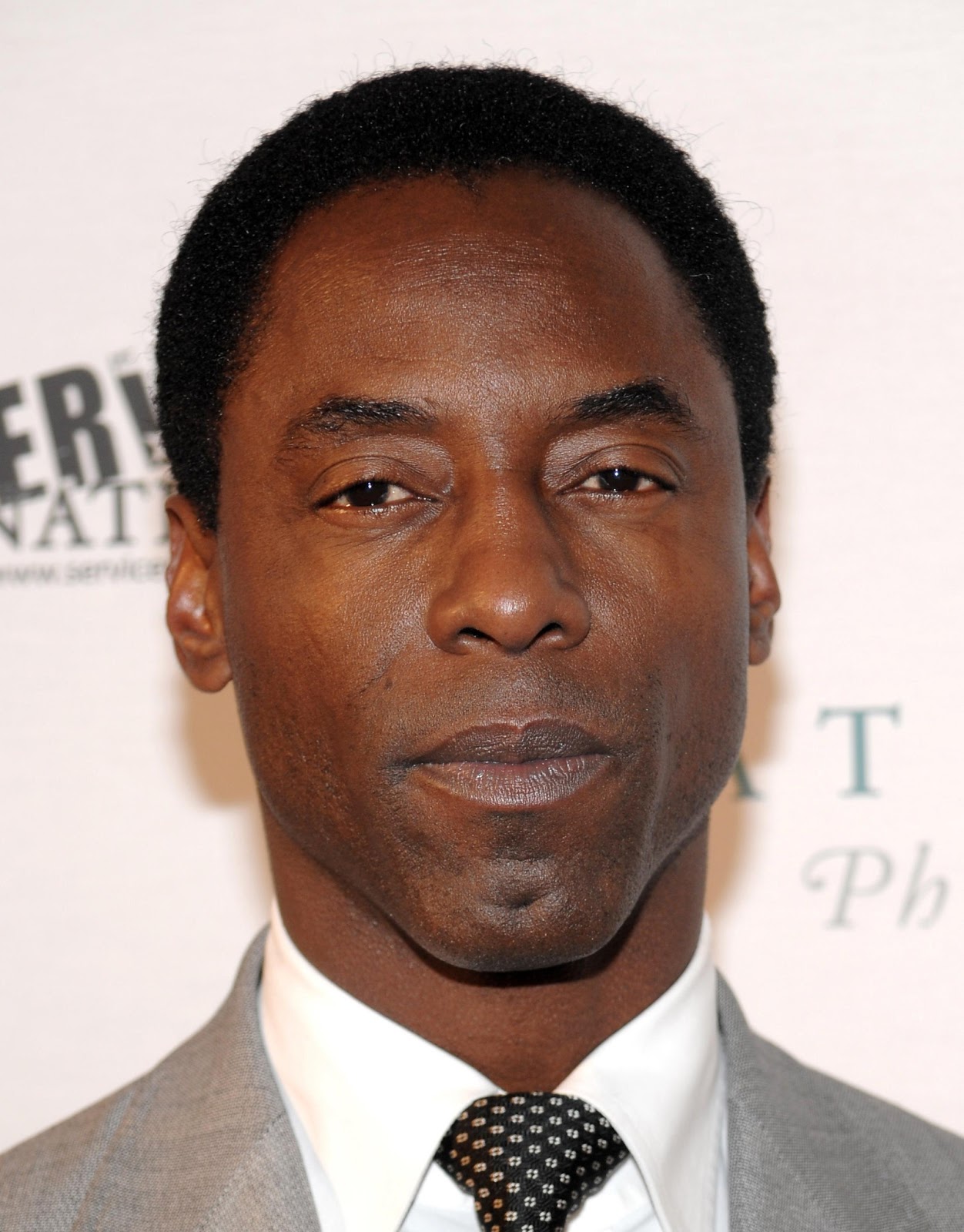 Isaiah Washington Photos Tv Series Posters and Cast