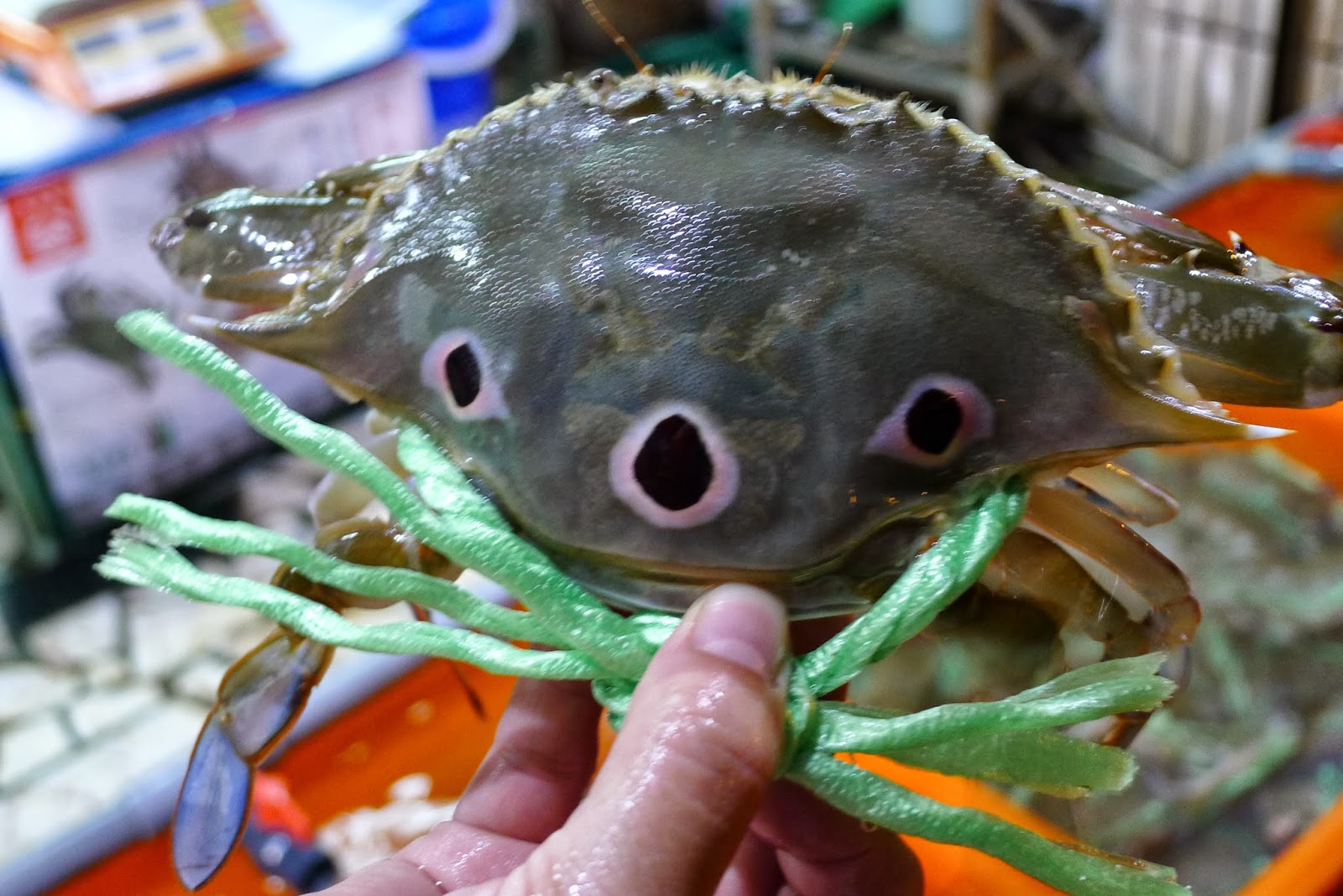 胖狗過生活 吃蟹行萬里 野柳漁港 柏榕海鮮