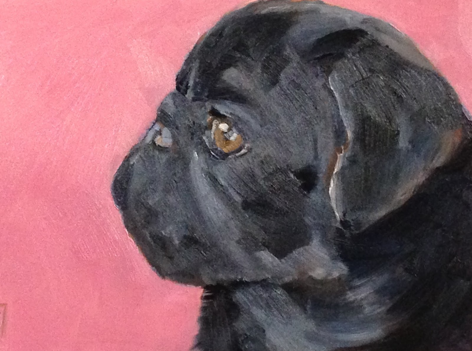 Kelley MacDonald's Paintings Love, 5x7 Inch Oil Painting of a Pug by