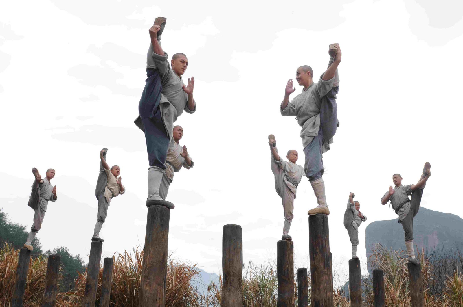 The Shaolin Temple (1982)