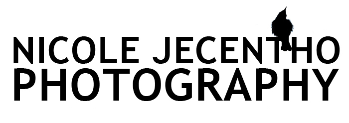 Nicole Jecentho Photography