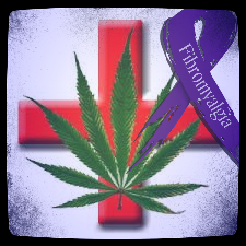 Fibromyalgia Cannabis Awareness