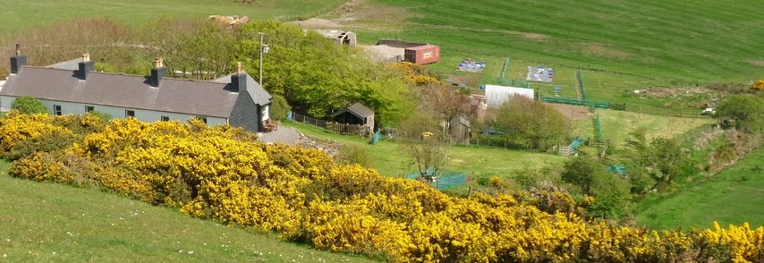 Spring homestead