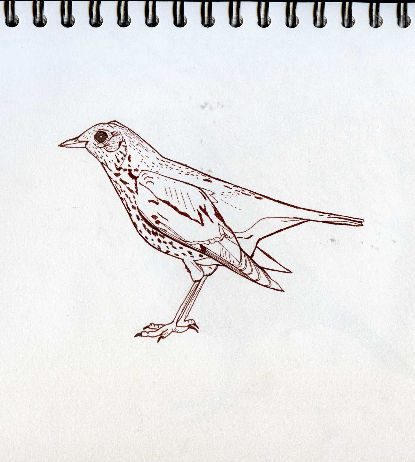 hard line drawing
