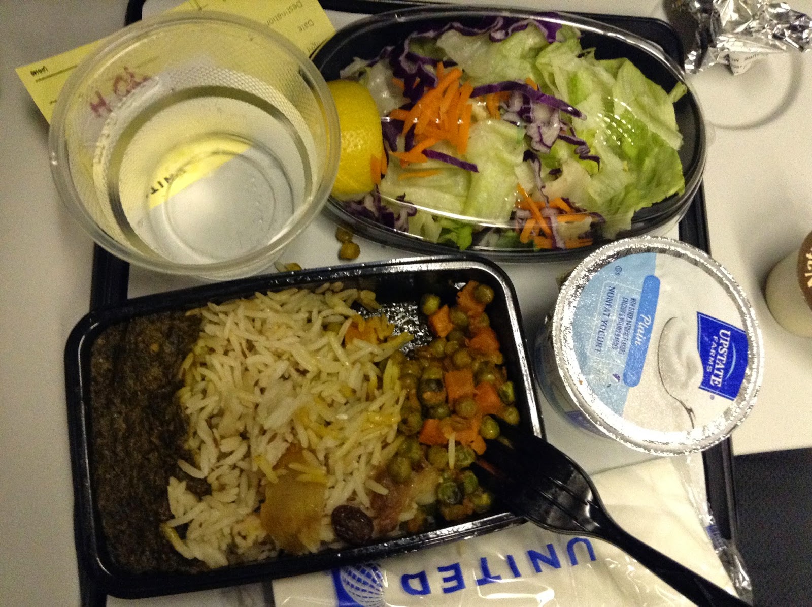 Healthy Gypsy Traveller UNITED AIRLINES Vegetarian and Vegan InFlight