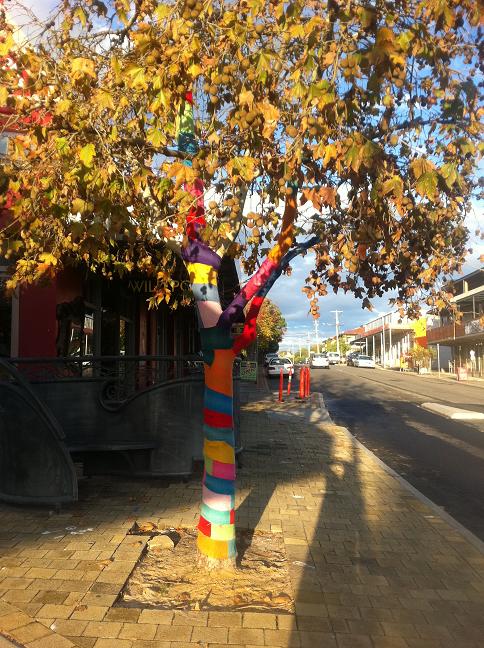 Itchy Bomb Tree