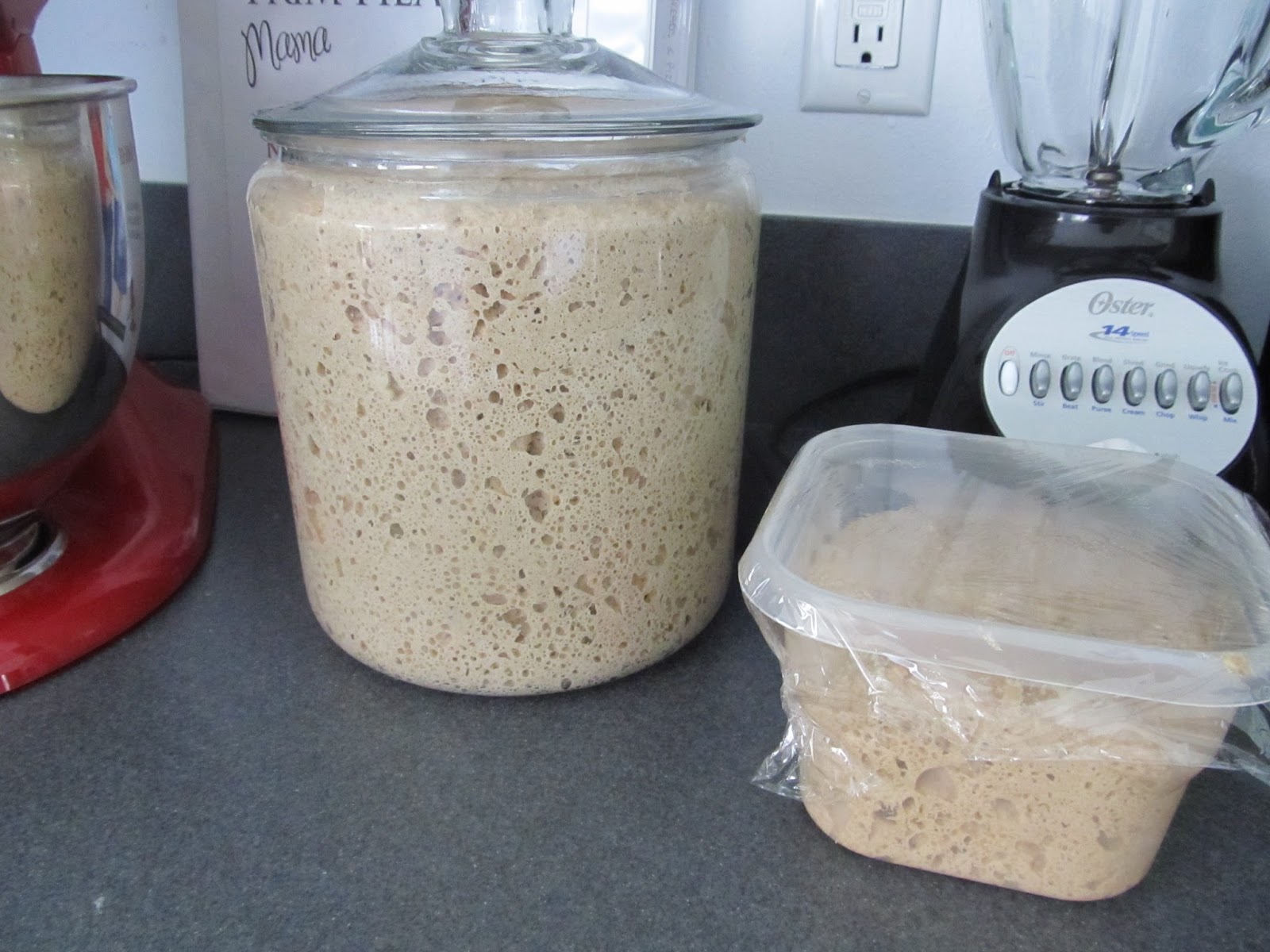 Growing Team Conrad Trim Healthy Mama Tuesday Refrigerator Rye Bread (E)