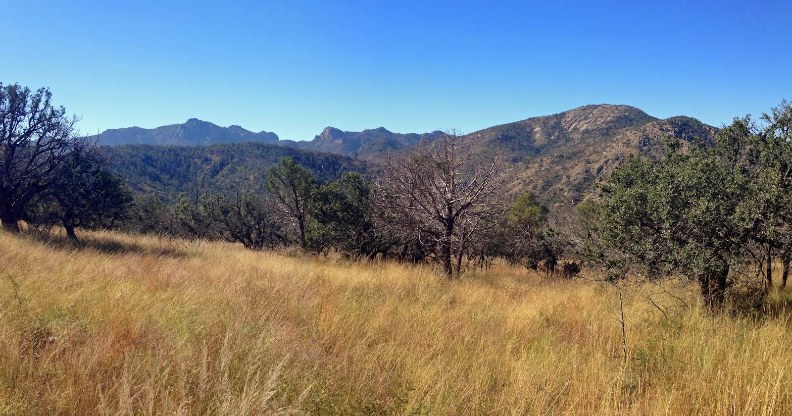 Davis Mountains Preserve