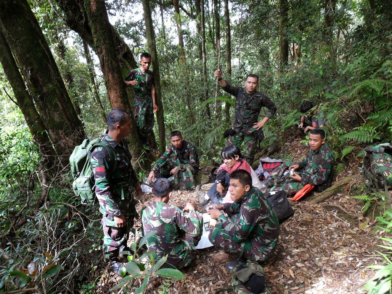 Essay mapala 03 picture