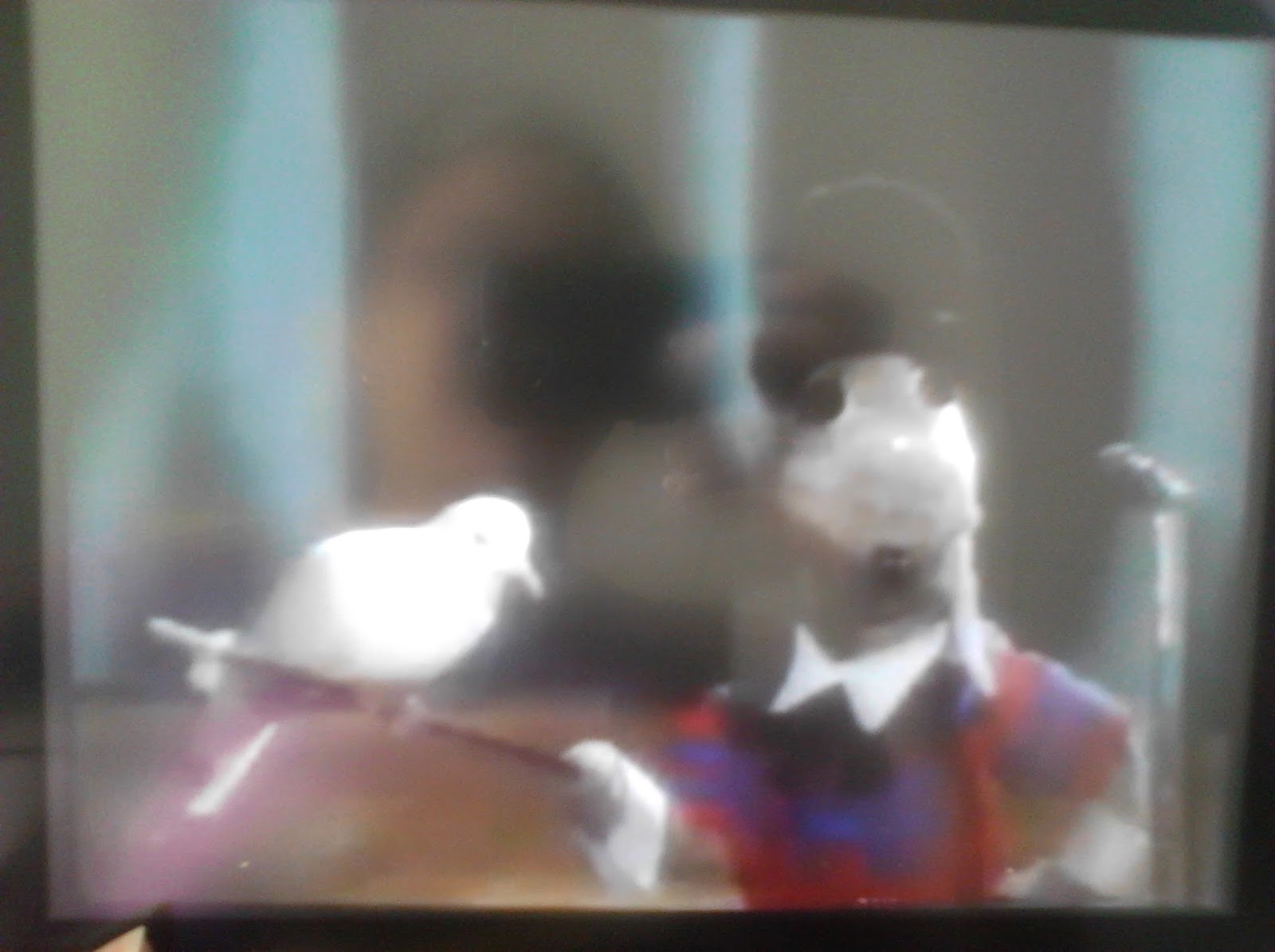 Whatsoever Critic "Lamb Chop's Play Along Lamb Chop Practices For A