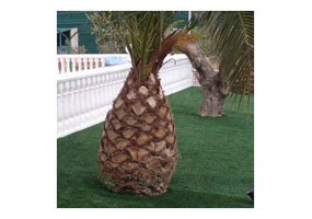 Poner cesped artificial en nuestro jardín – Cuidados plantas y geranios