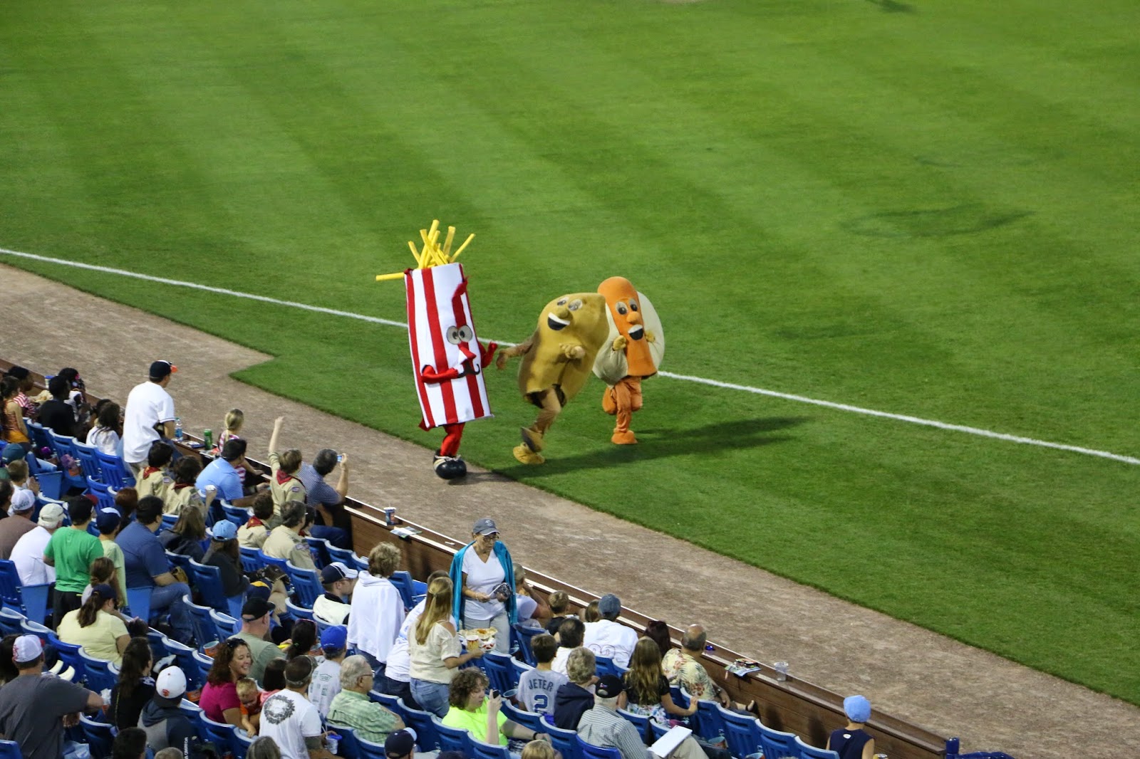 Wilmington's Blue Rocks!