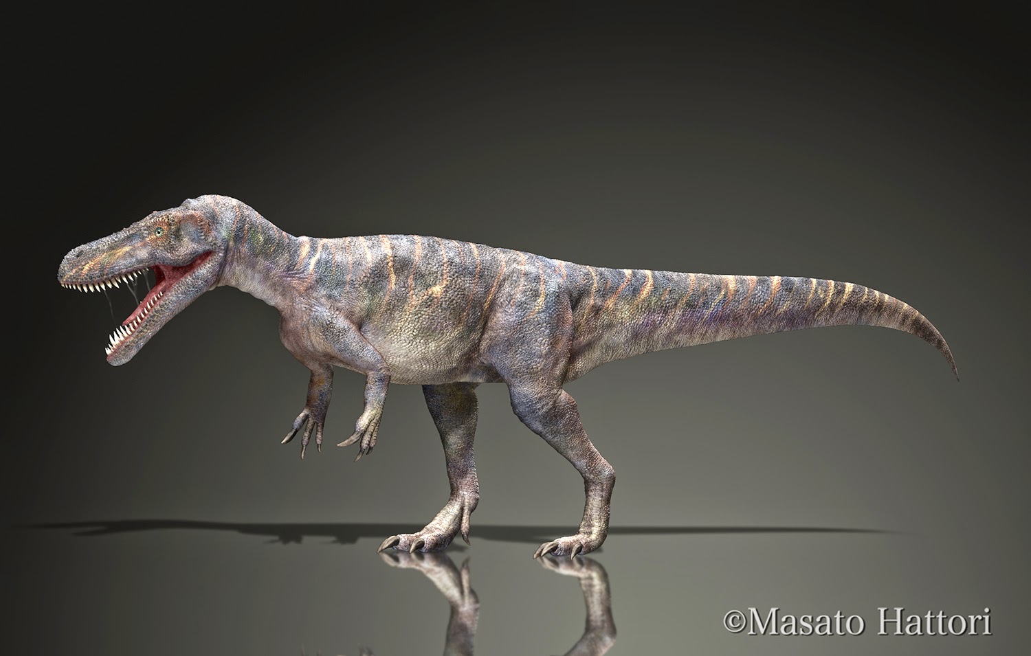 Marchan Blog トルボサウルス Torvosaurus tanneri