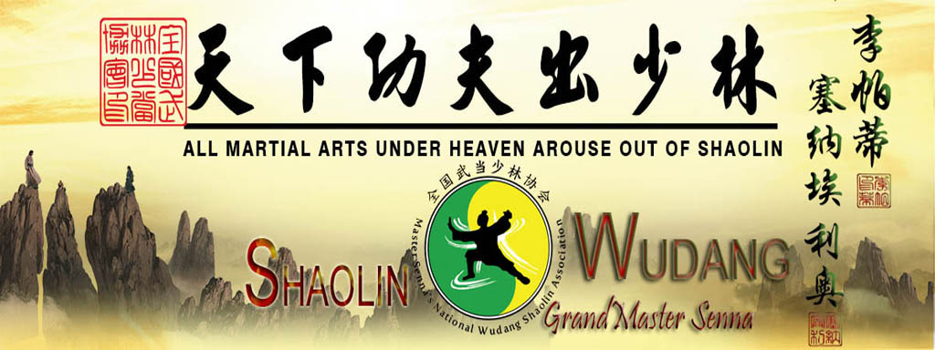 Shaolin and Wudang Styles Of Kung Fu