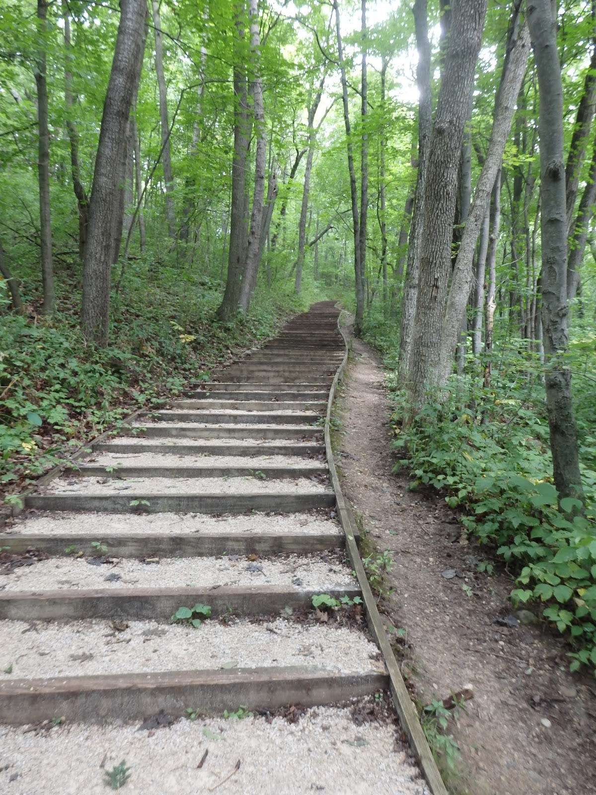 2 On the Road Kettle Moraine State Forest North Unit in Wisconsin