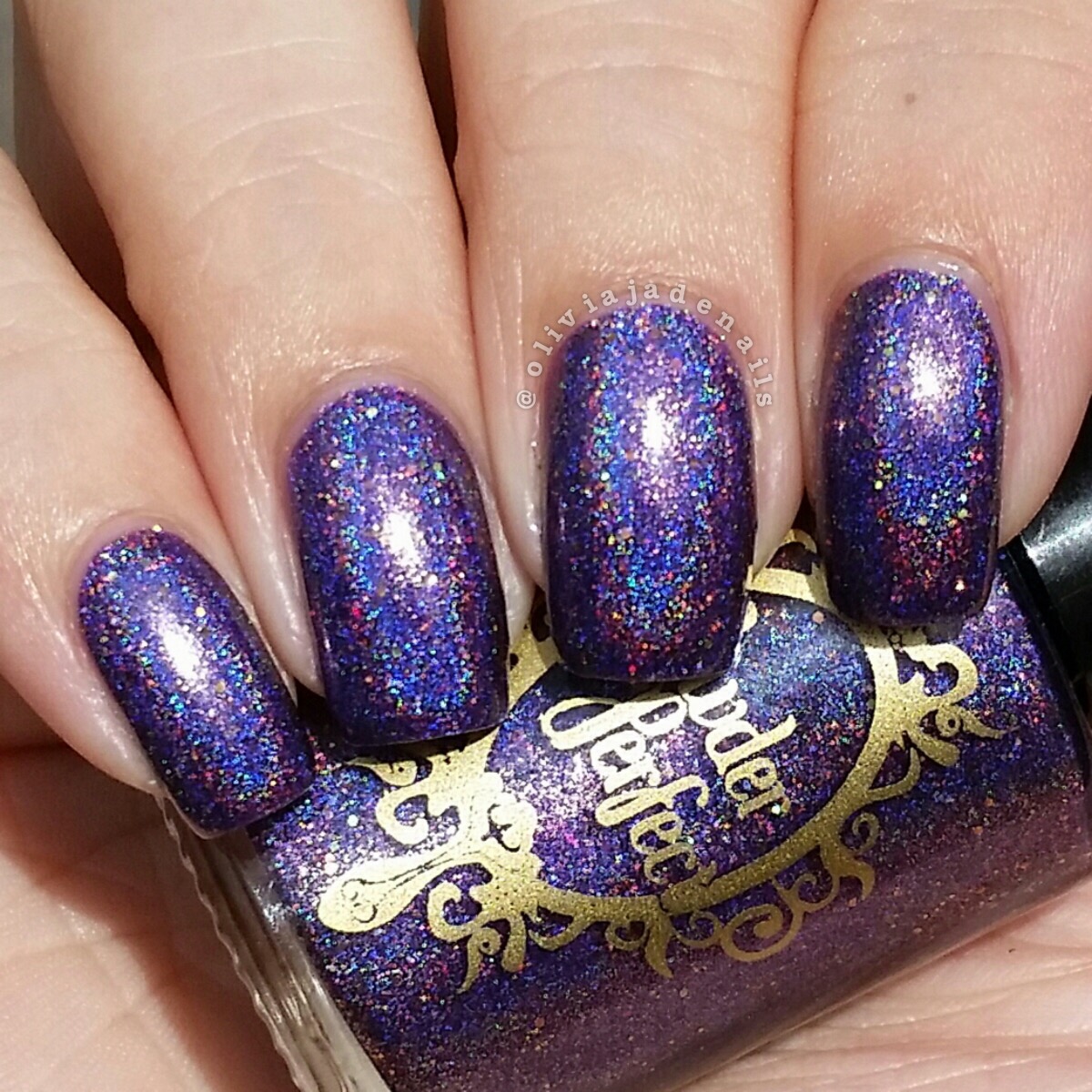 Powder Perfect Enchanted Memories (FB Group Exclusive) swatched by Olivia Jade Nails