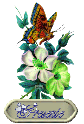 See the source image