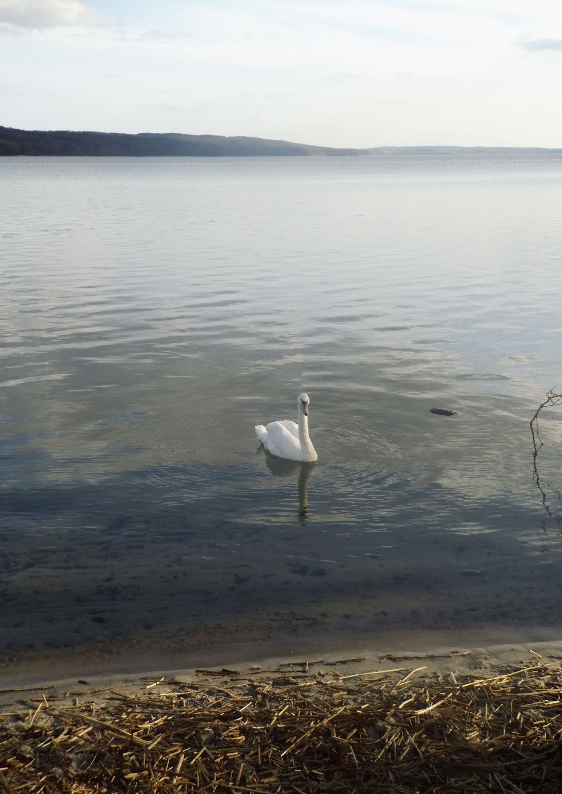 Martin In Broda April 2013