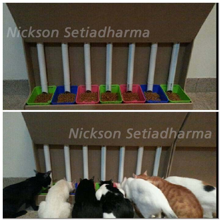 Inspirasi DIY Container Cat Food karya Nickson Setiadharma