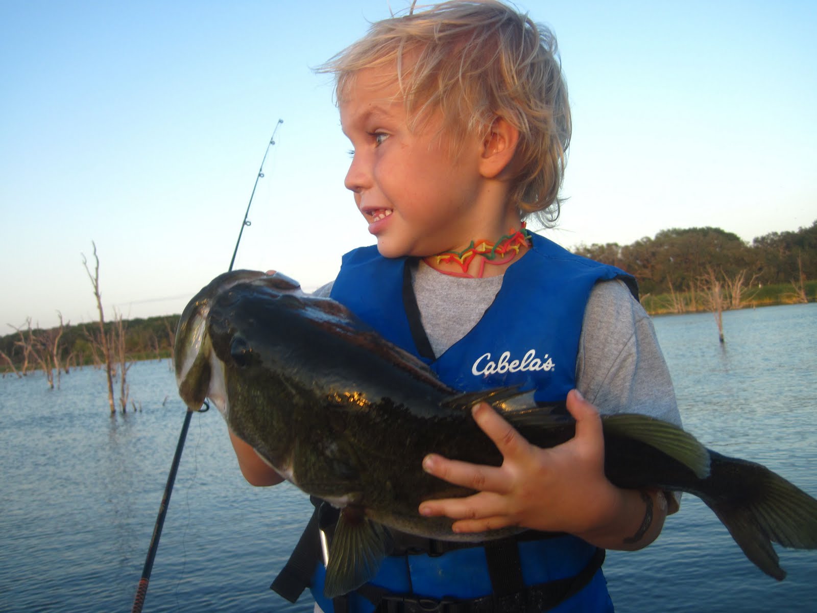 The Fishing Blog 5 bass and 1 catfish