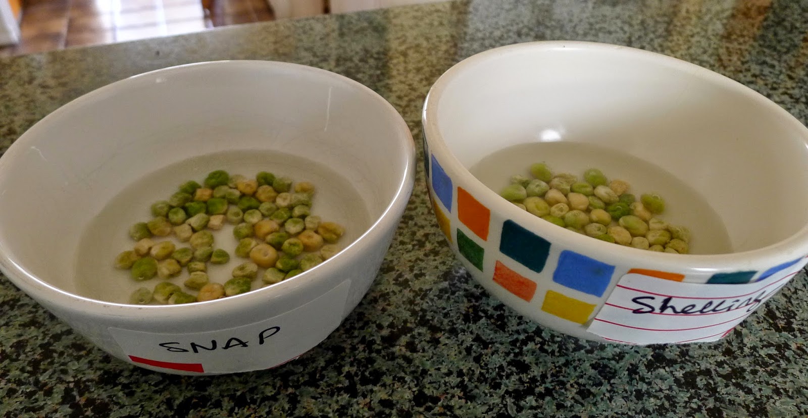 Less Noise, More Green Amending sandy soil, composting and planting