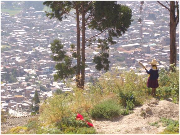 EL Trabajo Infantil en la región Cajamarca