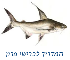 המדריך לכרישי פרון