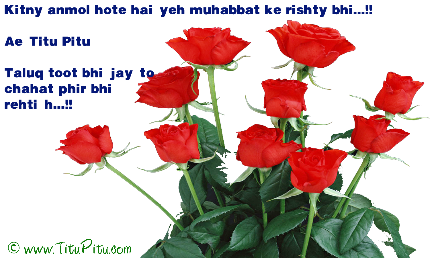 Dardedil sms in hindi Haryanvi makhol Jokes in Hindi Hindi