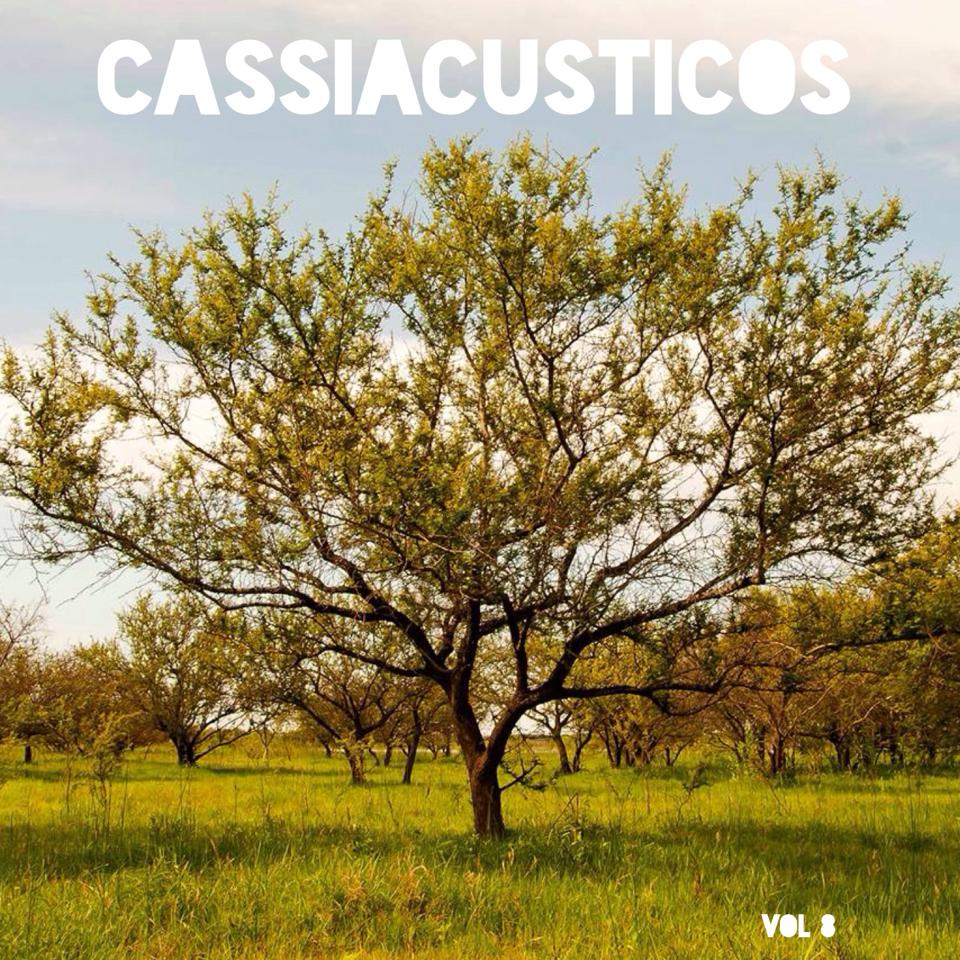 Cassiacusticos Vol 8
