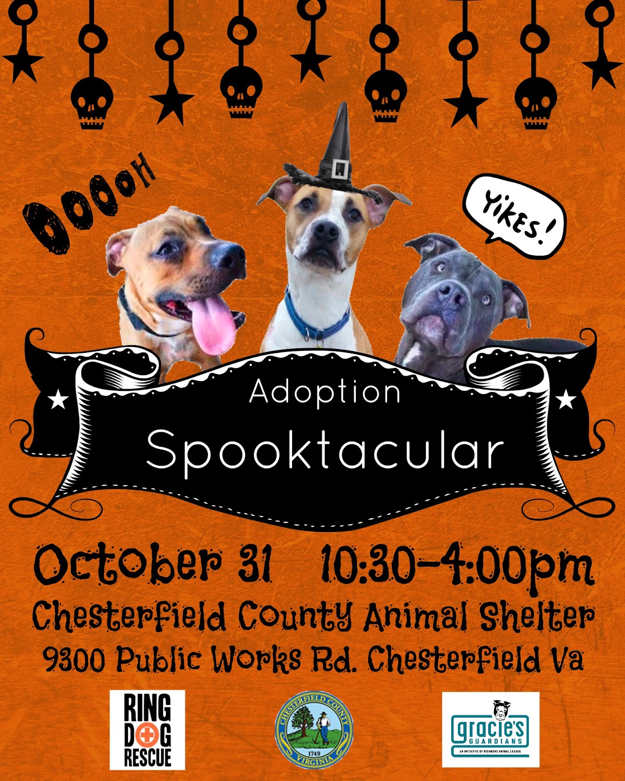 In Celebration fo National Pit Bull Awareness Month we are getting dogs