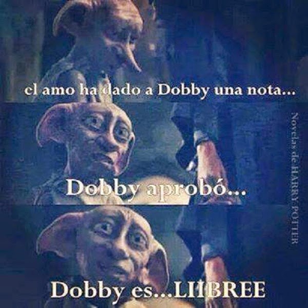 AVISOS DE AUSENCIA - Página 3 Dobby+es+libre