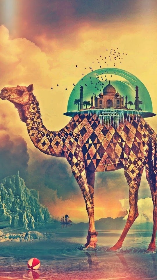   Camel and Middle East Architecture   Android Best Wallpaper