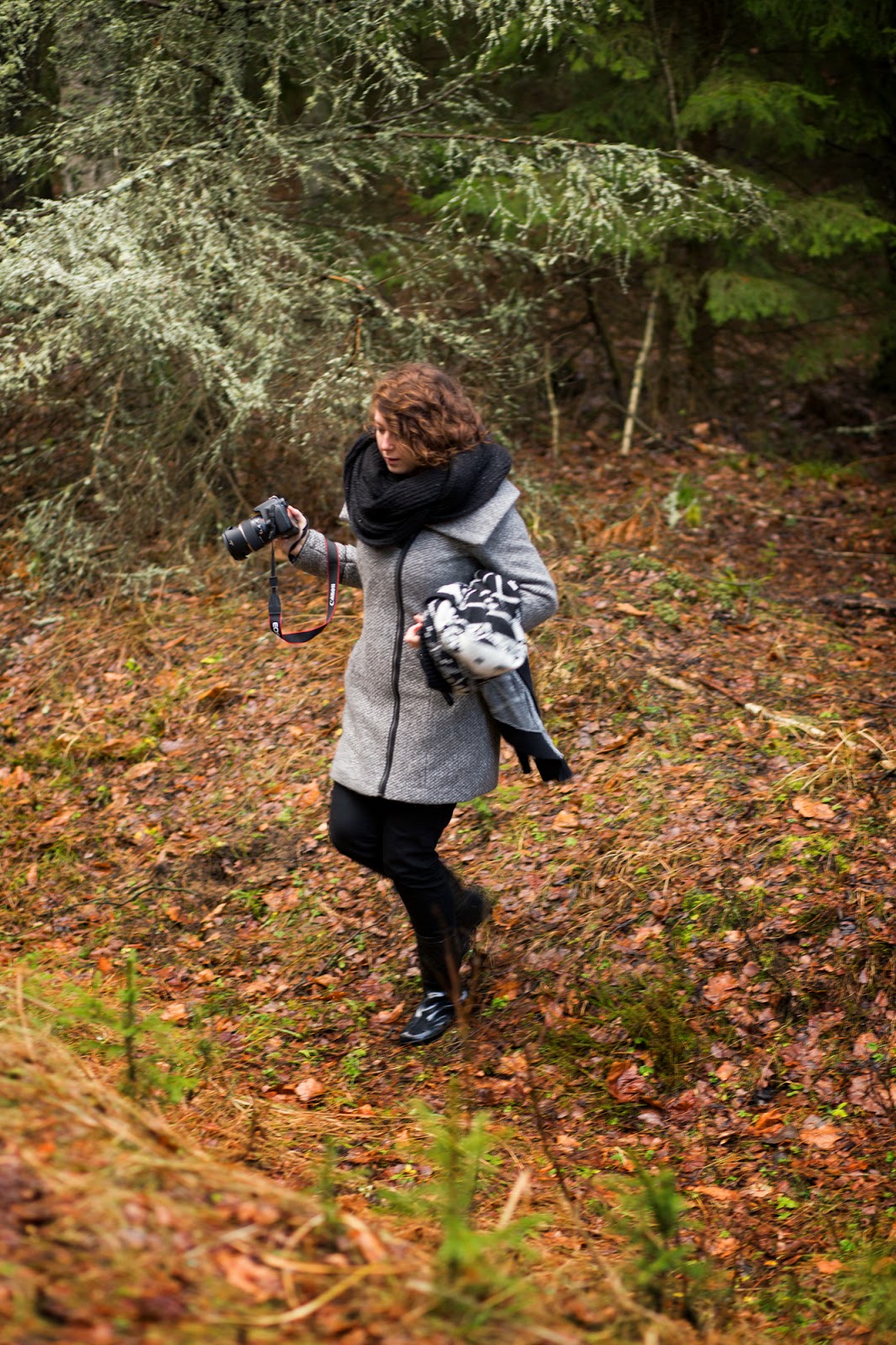Gwiazdka w Puszczy - Ania w Podróży