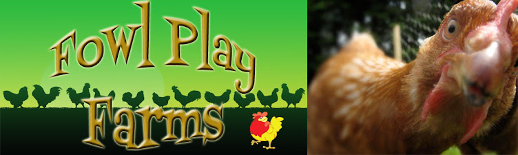 Fowl Play Farms