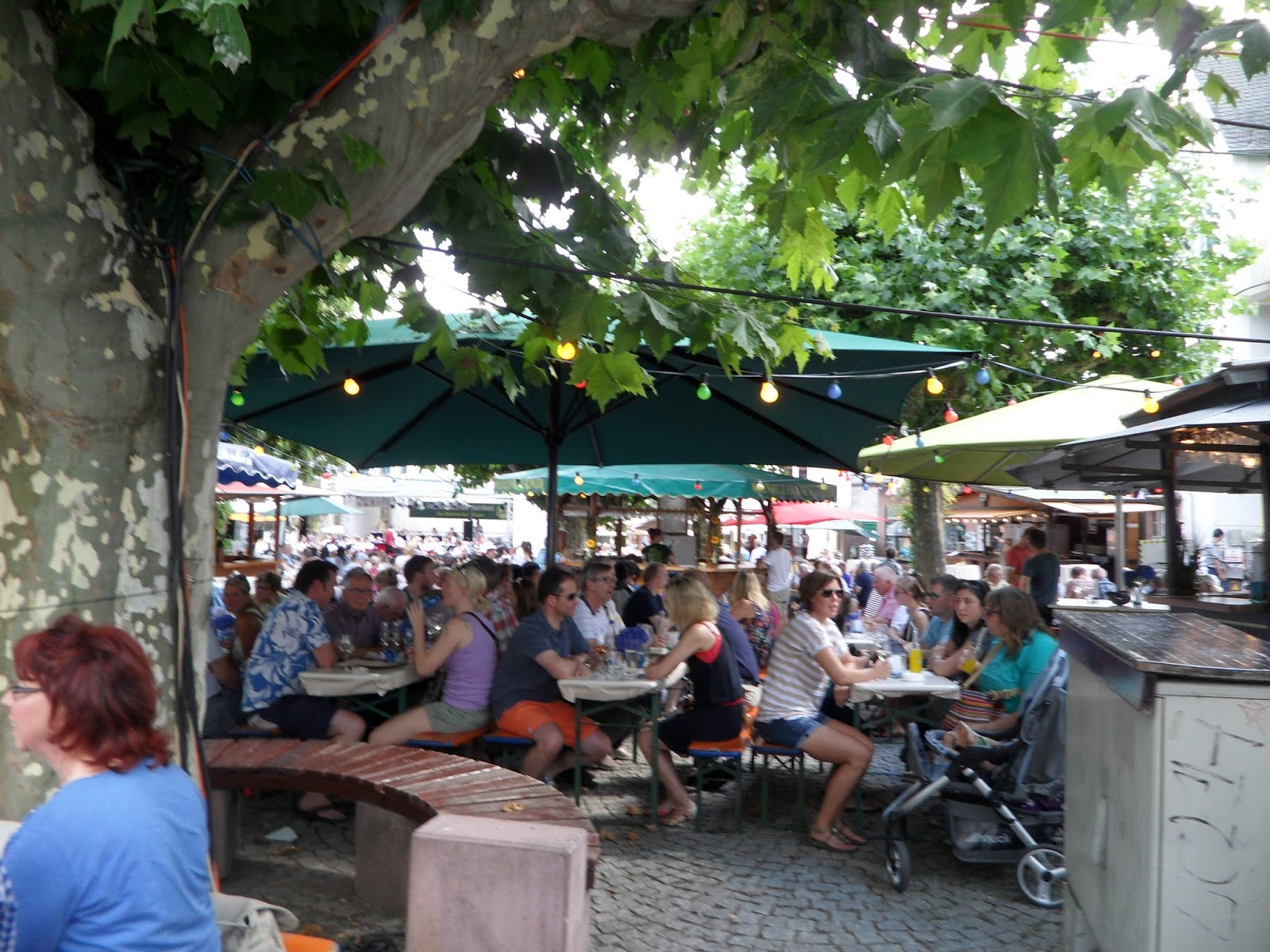 Schnitzel & Spaetzle Wine fest Wiesbaden and Rudesheim