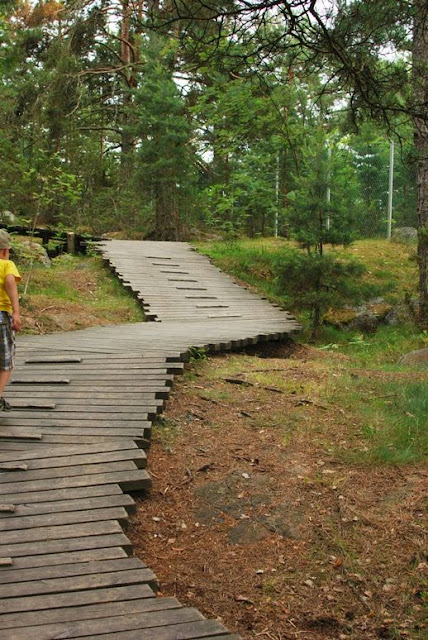 Puulla päällystetty polku rinteessä