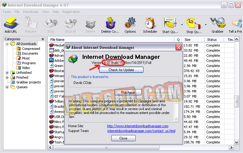 Internet download manager pro