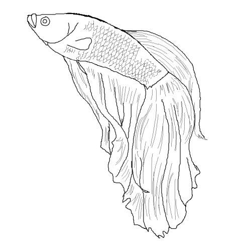 ANIMAL COLORING PAGES: Free Coloring Flying Fish Printable Pages