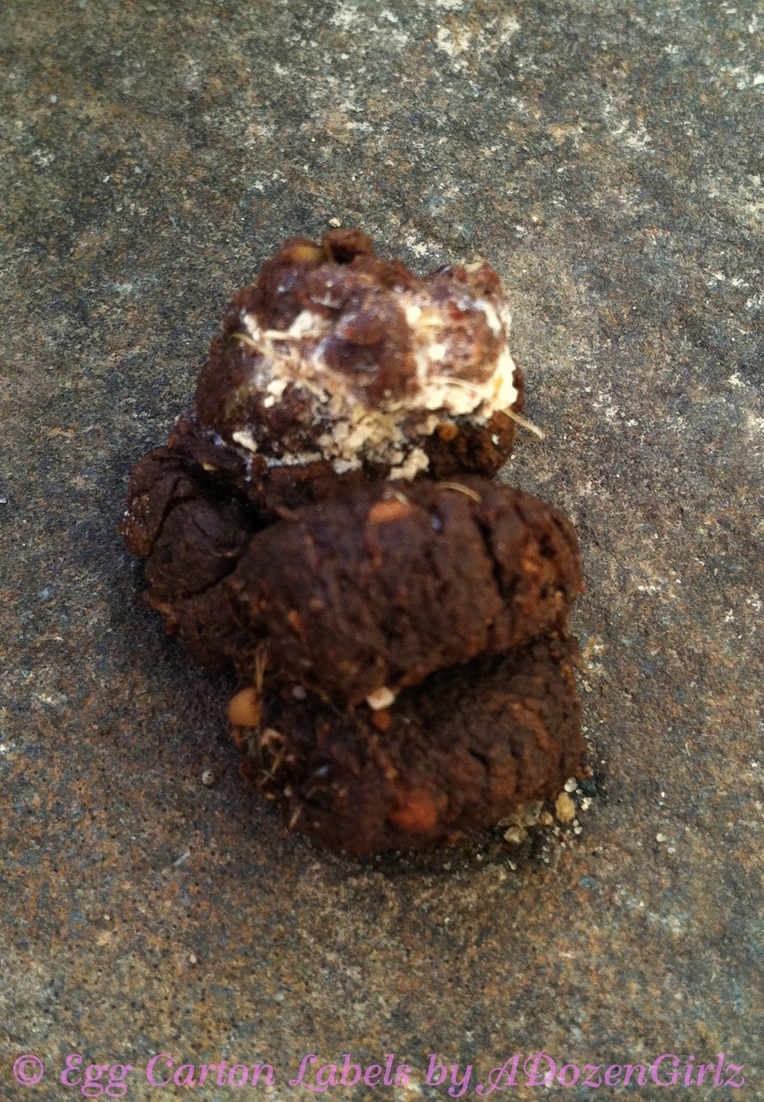 Normal chicken droppings with visible scratch.