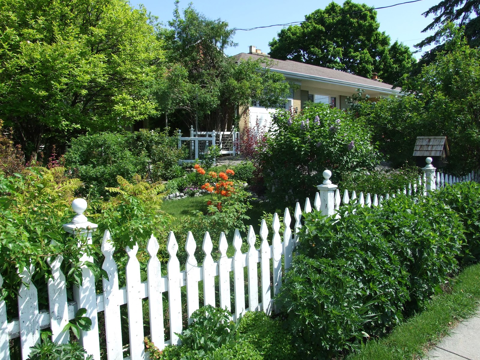 backyard landscaping ideas