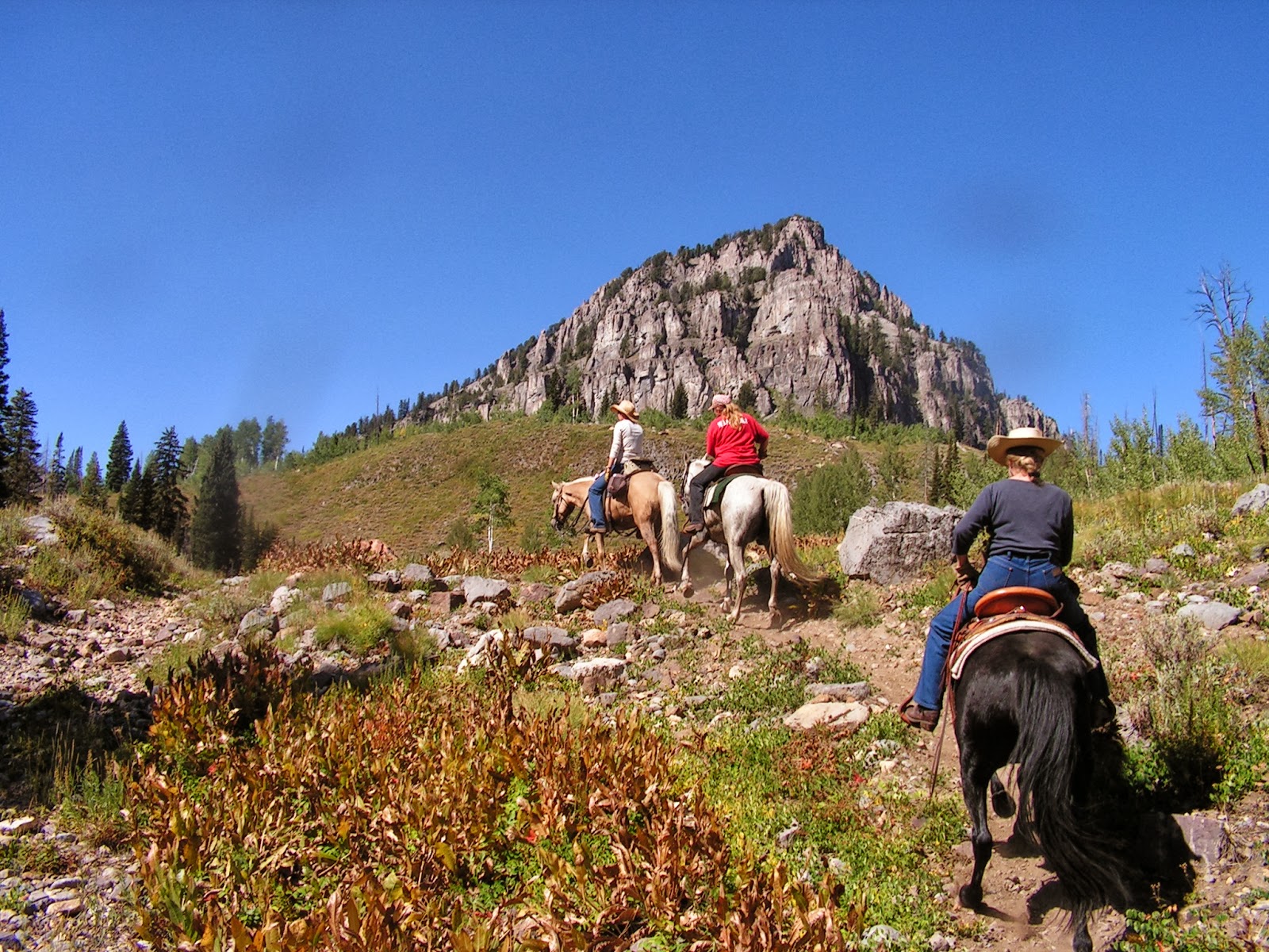 Dream Packer Trail Adventures Logan Canyon, White Pine, Utah