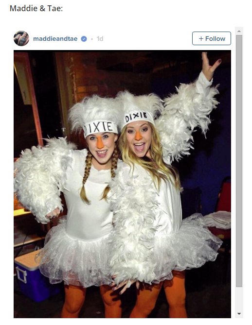 COUNTRY SINGERS & CELEB HALLOWEEN COSTUMES