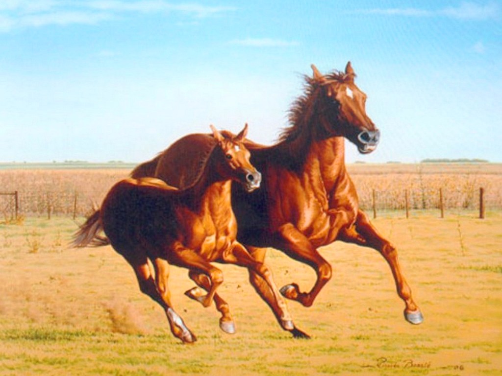 cuadros de caballos al oleo pintura moderna y fotograf 237 a art 237 stica cuadros en oleo cuadros de caballos al oleo pintura moderna y fotograf 237 a art 237 stica cuadros en oleo
