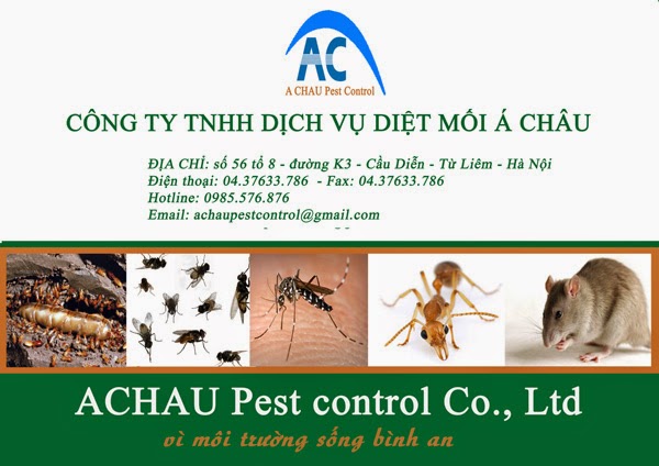 Phun muỗi tại Hà Nội - Á Châu