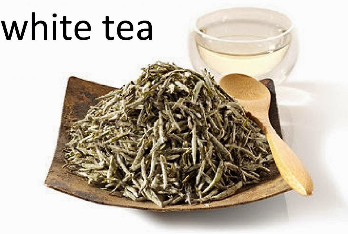 White Tea health benefits are slowly being discovered! Healthy Tea 101