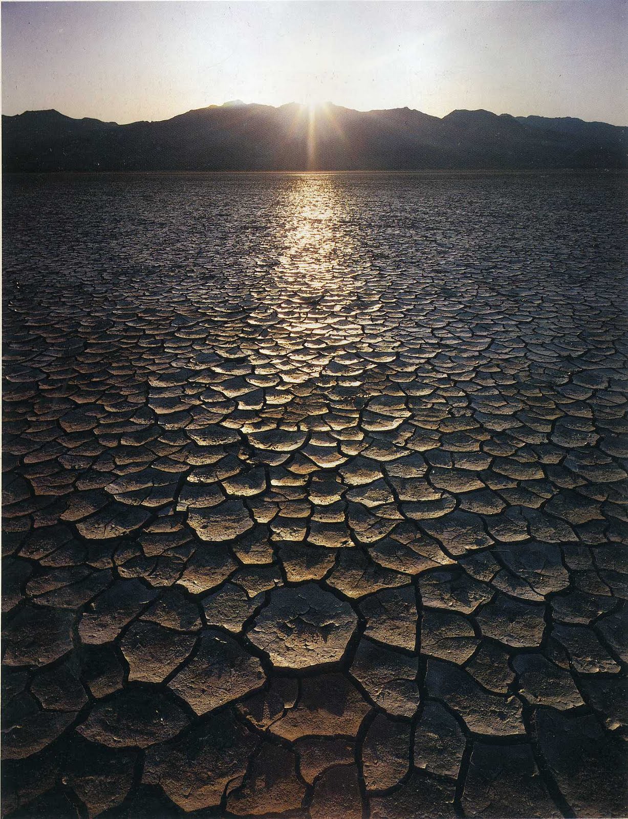 THE PHOTOGRAPHY FILES: David Muench
