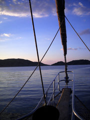 Tutto Il Mio Folle Amore Lettera A Mia Nipote Chiara Tutto Il Mio Folle Amore Lettera A Mia Nipote Chiara