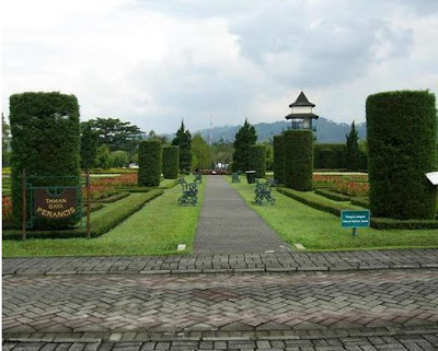 di Taman Bunga Nusantara, Cipanas, Bogor